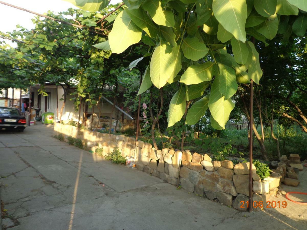 My Home Udabno Exterior photo