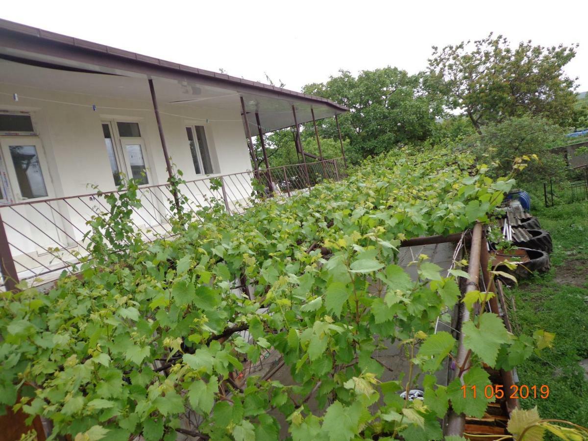 My Home Udabno Exterior photo